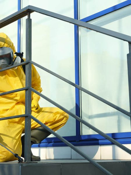 Pest Control Blog Page