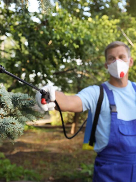 Pest Control Blog Grid View