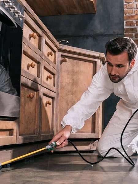 Pest Control Projects Style 2
