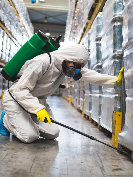 Pest Control FAQ Page