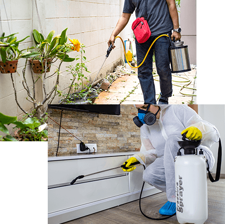 Pest Control About Us Page